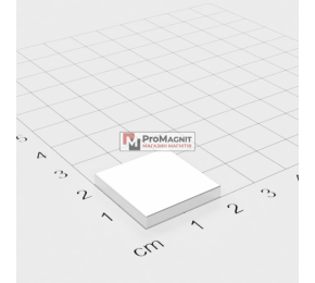 20 x 20 x 3 mm - Квадратний Магніт