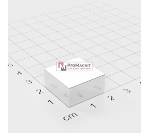 20 x 20 x 10 mm - Квадратний Магніт