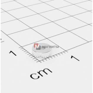 Ø D6 - 2 х H2 mm - Магніт Кільце
