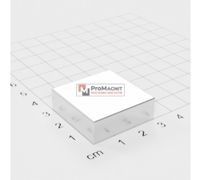 30 x 30 x 10 mm - Квадратный Магнит