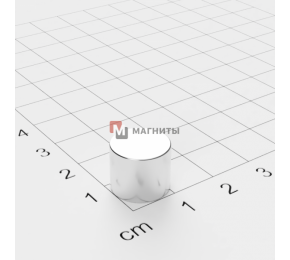 Ø D12 mm х H10 mm  DN - Магнит Шайба