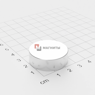 Ø D30 mm х H10 mm - Магнит Шайба