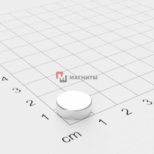 Ø D12 mm х H4 mm - Магнит Шайба