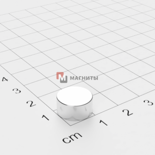 Ø D12 mm х H6 mm - Магнит Шайба