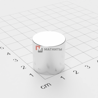 Ø D20 mm х H20 mm - Магнит Шайба