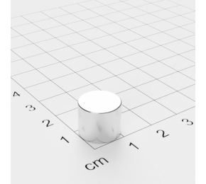 Ø D12 mm х H10 mm  DN - Магнит Шайба