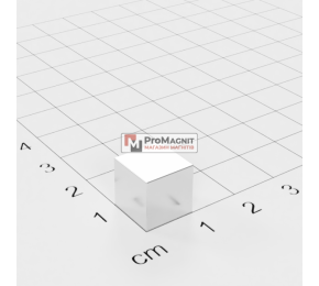 10 x 10 x 10 mm - Магнит Куб