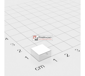 10 x 10 x 5 mm - Квадратний Магніт