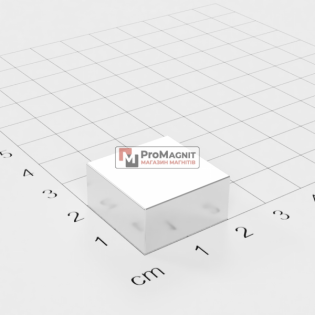 20 x 20 x 10 mm - Квадратный Магнит