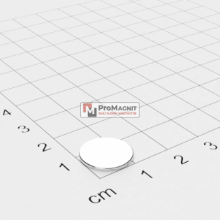 Ø D13 mm х H1 mm - Магнит Шайба