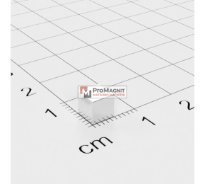 5 x 5 x 5 mm - Магнит Куб