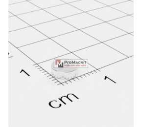 Ø D6 - 2 х H2 mm - Магнит Кольцо