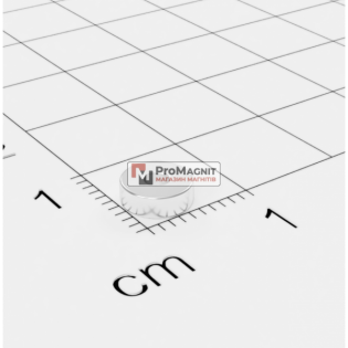 Ø D6 - 2 х H2 mm - Магнит Кольцо